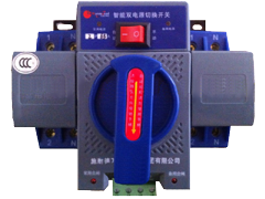 AUTOMATIC CHANGE OVER TRANSFER SWITCH 60A 2P